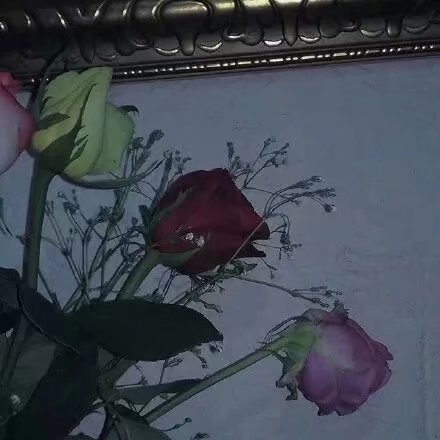 顾城非常经典的诗句,顾城门前的唯美诗句