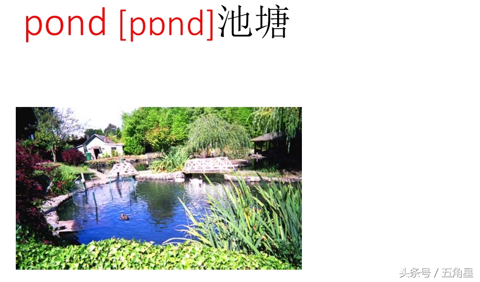 5分钟的英语趣味教学视频,关于自然景观的英语单词3至6年级