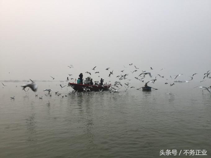 旅行|CoordinateBook04-No.225.3176°N,82.9739°E印度