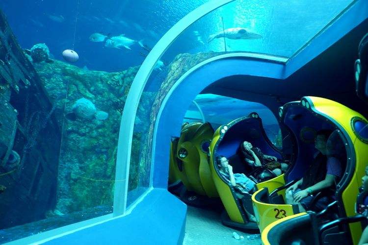 去珠海长隆海洋王国住哪里好,海昌海洋公园和长隆海洋王国