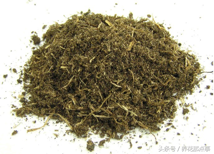 盆栽板结的土壤怎样改良,盆栽土种什么防止板结