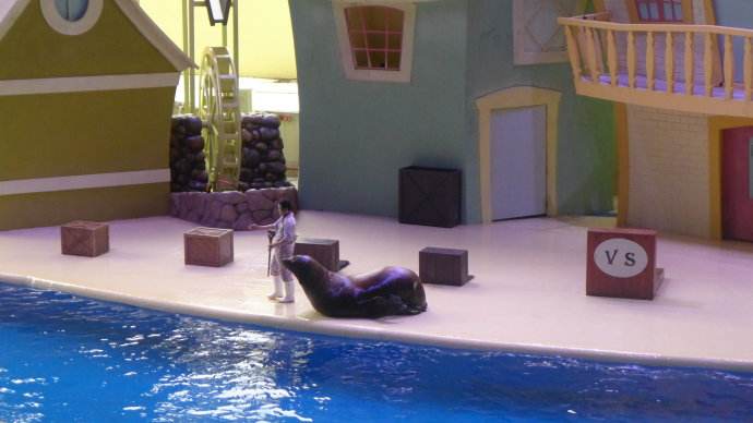 去珠海长隆海洋王国住哪里好,珠海长隆海洋王国烟花时间表