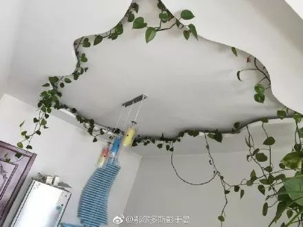 过年回家看到爸妈装修的新房，我想离家出走了……