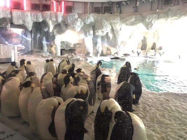 去珠海长隆海洋王国住哪里好,海昌海洋公园和长隆海洋王国