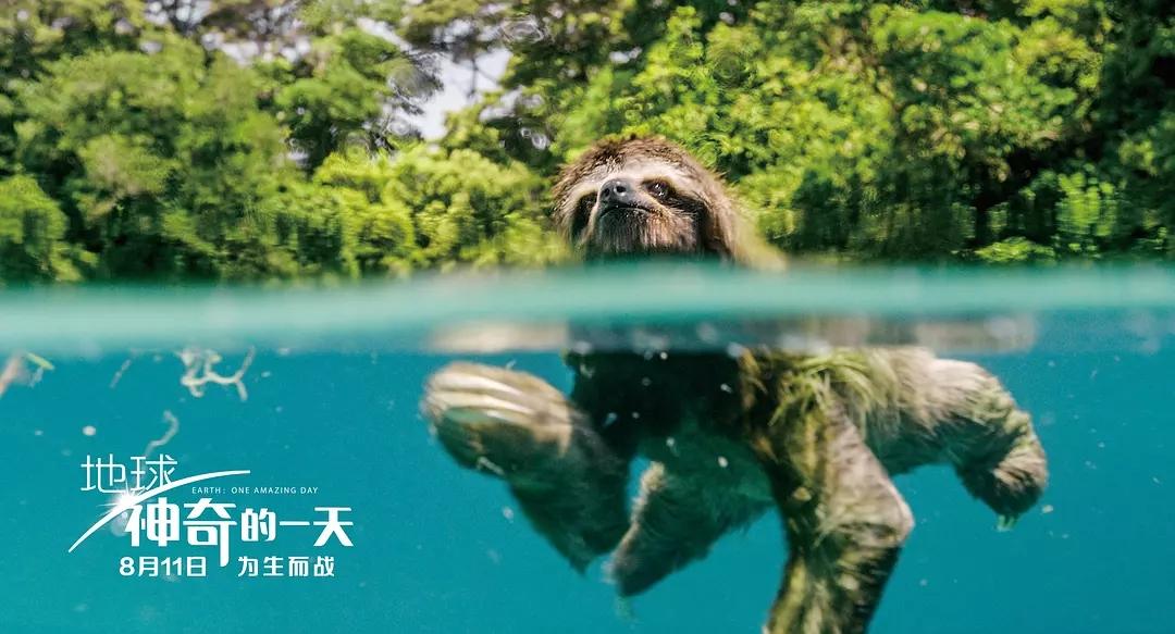 2017年洞朗危机纪录片,2012年评分最高的十部电视剧