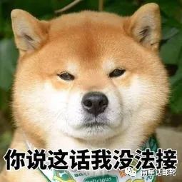 邮轮工作都由哪些部门组成,现在邮轮工作如何