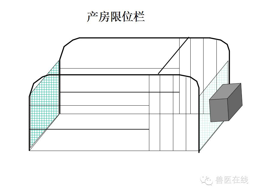 猪场刮粪机排粪沟设计图,100头母猪猪场设计图