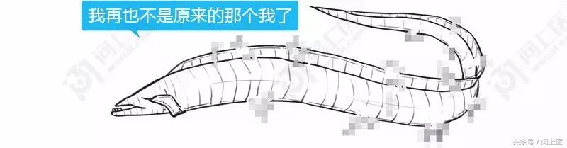 为什么别人的头发总是光滑柔顺你的却毛躁不堪？漫画教你如何护发