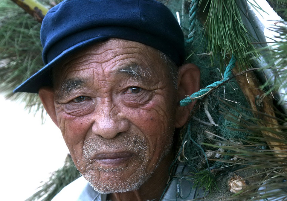 父母的眼睛小孩子的眼睛会小吗,父母的眼界和格局决定孩子的深度