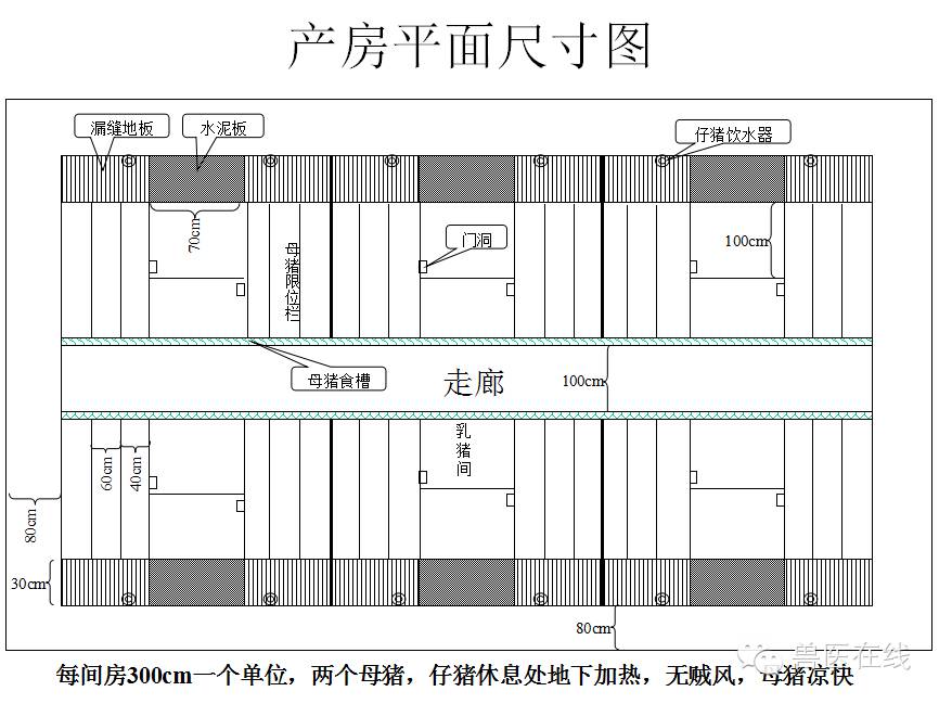 猪场刮粪机排粪沟设计图,100头母猪猪场设计图