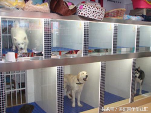 小本创业做什么投资见效快,小本创业挣钱致富项目有哪些