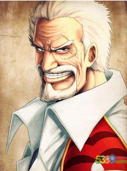 海贼王路飞的家族介绍,海贼王路飞的家族所有人的图片