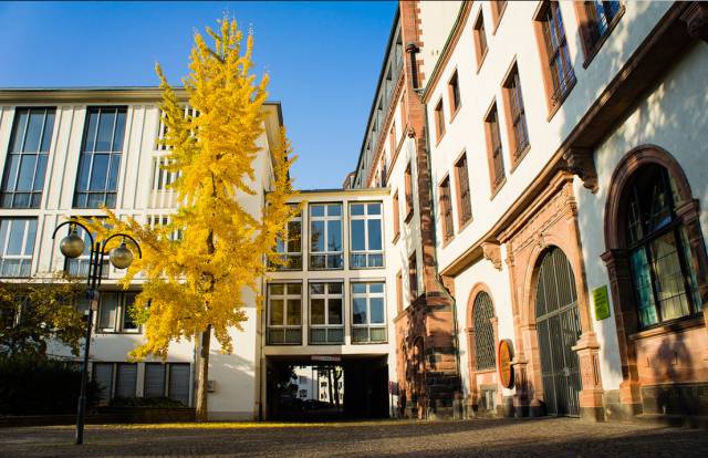 德奥丨一人出行又冷清又贵?快来优程拼团吧!来一次浪漫艺术之旅