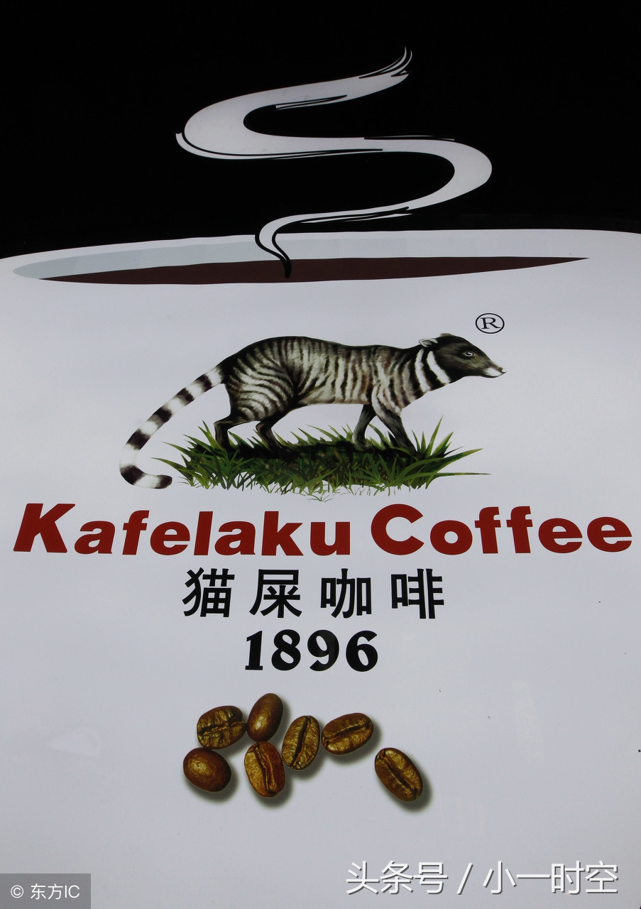 猫屎咖啡是怎么得到的,猫屎咖啡涉及的是哪种猫的排泄物