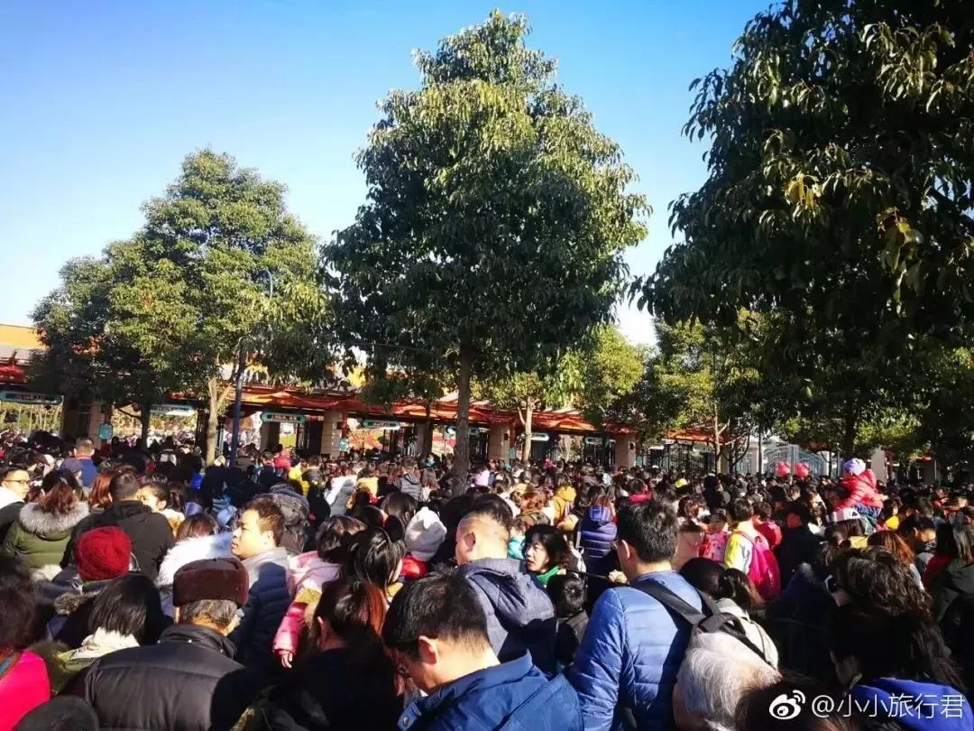 上海新年一定要去的地方,过年上海去哪玩好又便宜又好玩