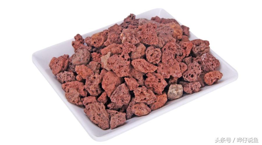 秒懂百科金鱼怎么喂养,秒懂百科养鱼养龟教程