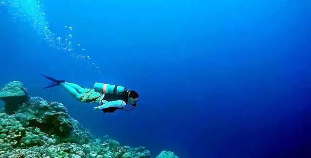 帕劳群岛隐藏攻略,帕劳旅游的优点和缺点