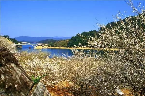 从化温泉最好的温泉酒店,广州从化温泉酒店推荐