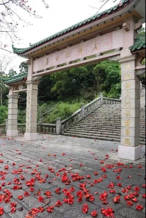 滚蛋吧,春困君!广东这些花花世界让你秒变龙马精神!