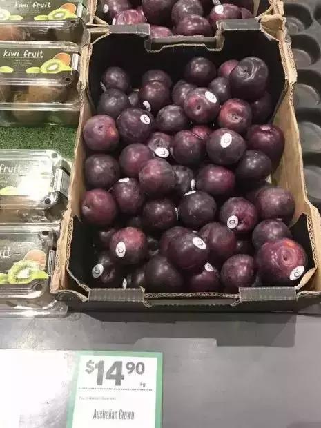 可以有助减肥的水果,抗衰老防痴呆水果