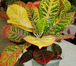 爱自然主题活动,爱自然爱生活视频