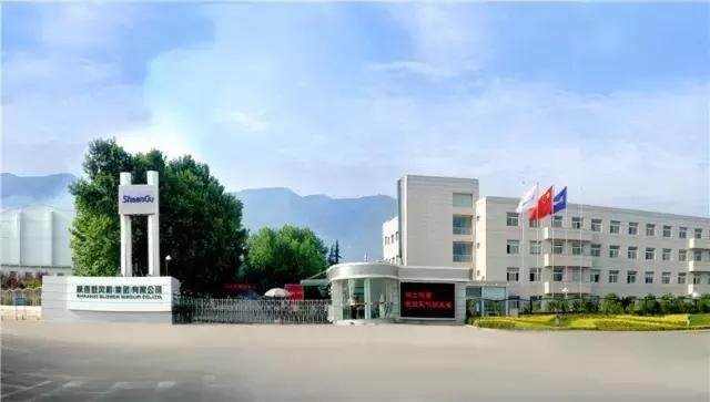 瑗垮畨骞存渶涓浗,瑗垮畨骞存渶涓浗鍐呭