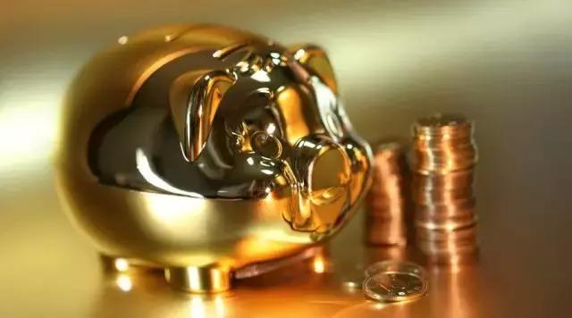 亥时生肖猪的命运,明年特别旺的属相猪