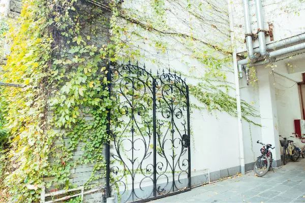 深圳春游十大好去处要门票,深圳春游亲子最佳去处