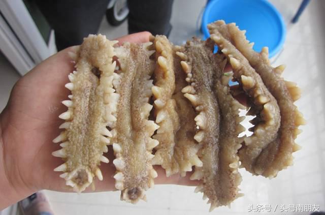 浙江旅游手信,出国旅游的手信