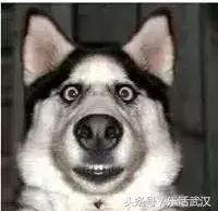 在武汉收入多少可以过上体面生活 (在武汉月薪多少才能养活)