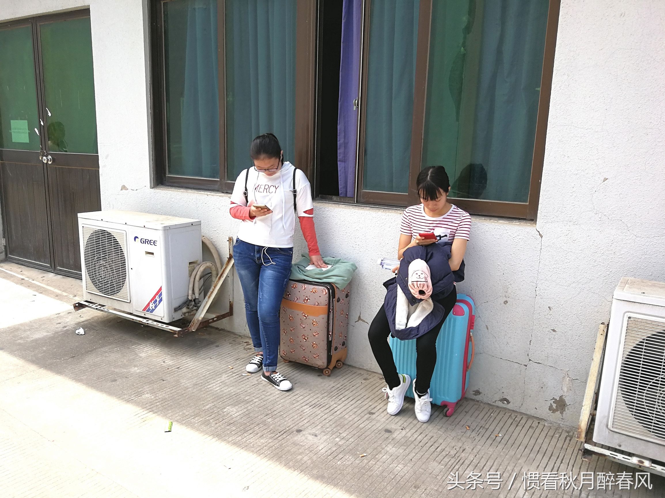 宝龙比亚迪招聘直招,宝龙比亚迪最新招工信息