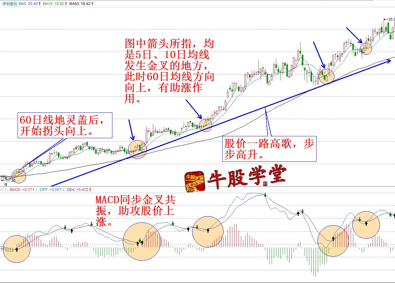 牛股学堂在线观看,牛股学书籍