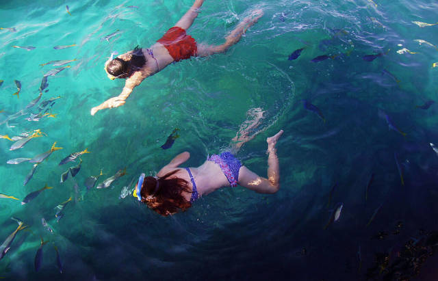 澳洲签证体检后多久签证可以获批,澳洲820签证转801签证需要多久