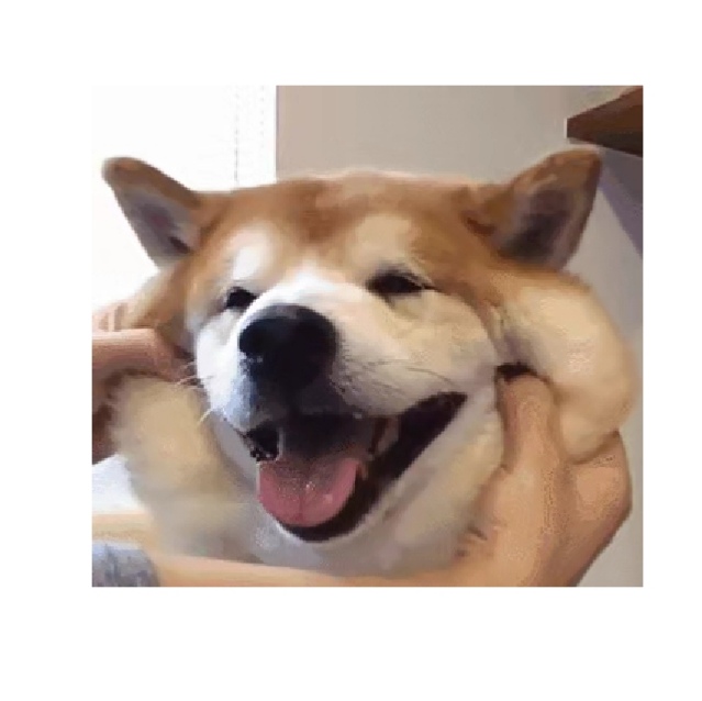 雅诗兰黛DW粉底液色号测评,雅诗兰黛dw粉底液se