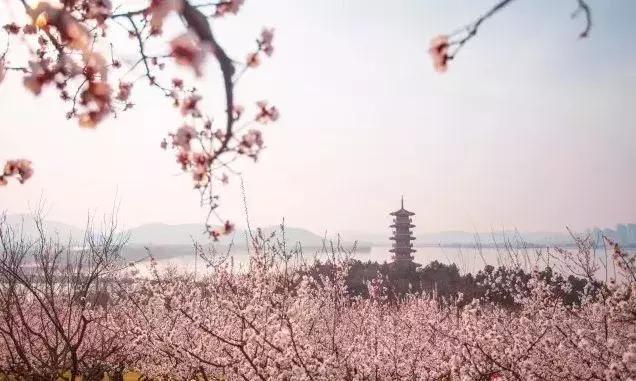 湖州这个季节去哪玩,湖州三月份适合去哪旅游