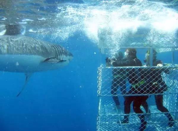 澳洲签证体检后多久签证可以获批,澳洲820签证转801签证需要多久