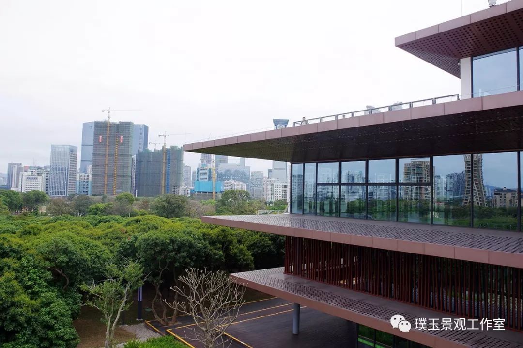 2019年香蜜湖公园,最新香蜜公园视频