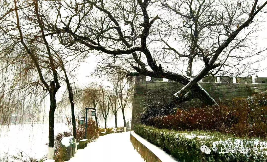 美丽麟游完整视频,雪景美如素描画