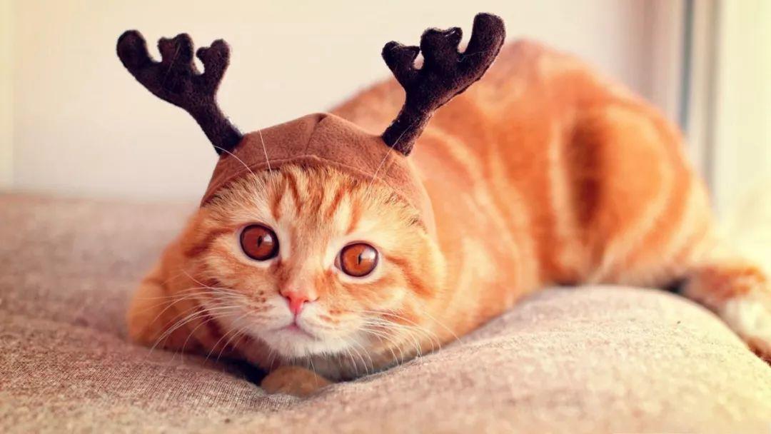 为啥抖音那么多博主都在卖广告,为什么许多博主卖号