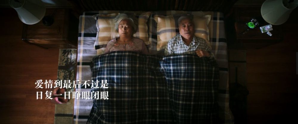 豌豆公主使用感受,豌豆公主简短片段