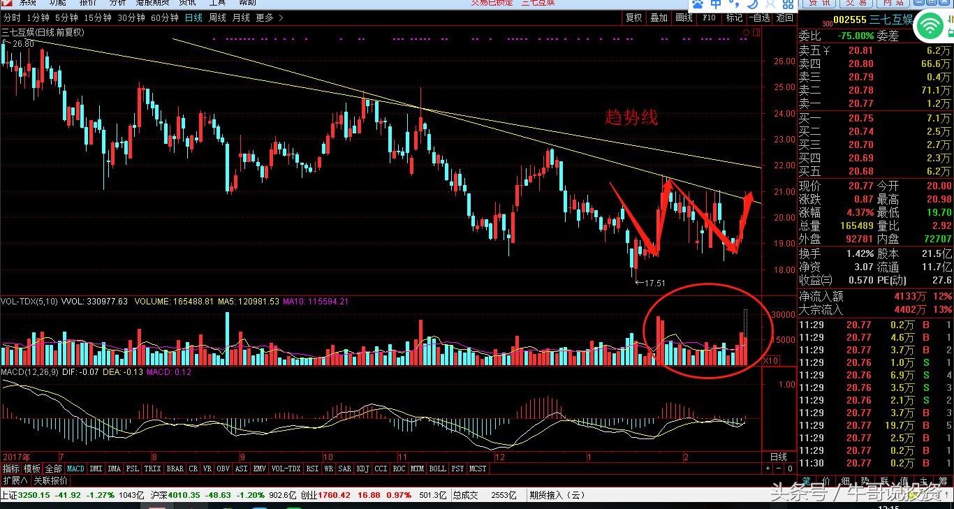 股票投资从新手到高手怎么操作,如何从股市小白进阶为投资高手