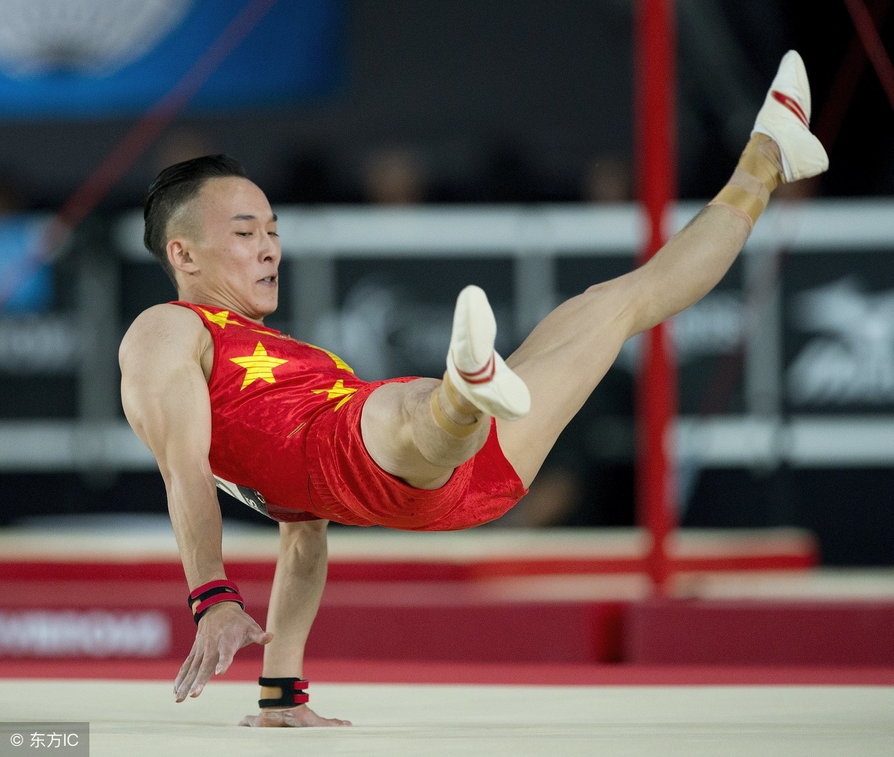 体操多哈世锦赛赛程,预祝中国奥运健儿们勇创佳绩