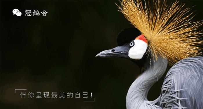 小白鞋老爹潮鞋怎么搭配,老爹鞋和小白鞋哪个更好搭配