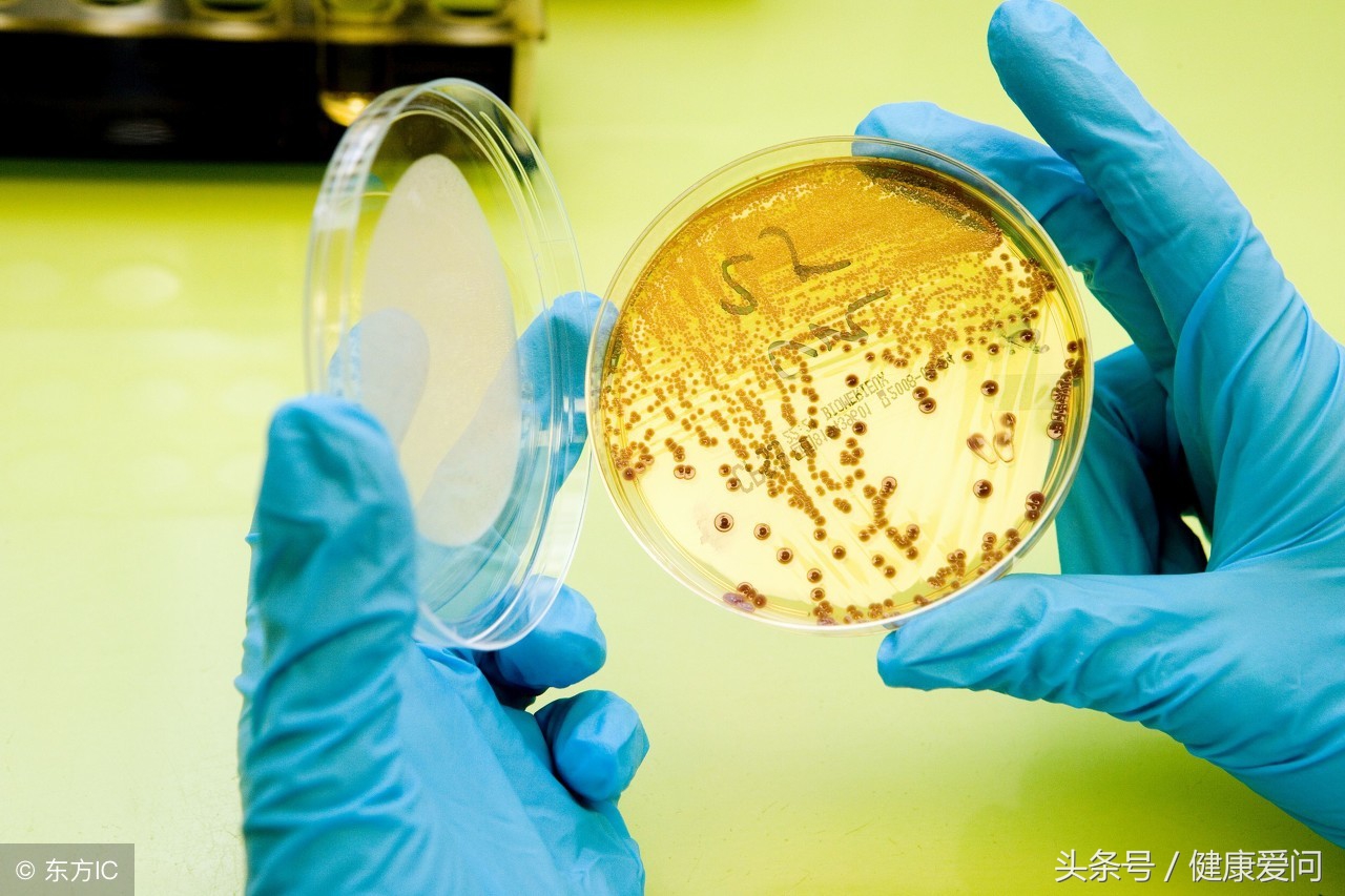 得了大肠杆菌肚子疼,大肠杆菌超标引起肚子痛怎么办