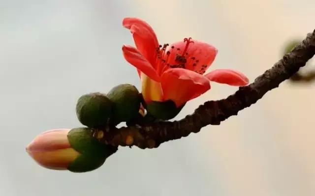 古代有趣的诗,脑洞大开的诗