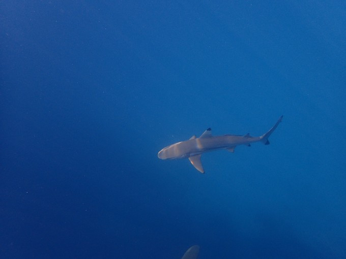 蜜月短途旅行,蜜月旅行遇见朋友闺蜜