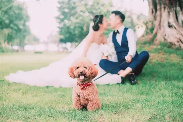 小清新婚纱照唯美图片,小清新婚纱照是不是很唯美啊