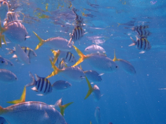蜜月短途旅行,蜜月旅行遇见朋友闺蜜