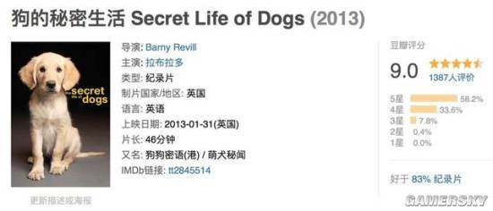 关于狗的电影你喜欢哪一部呢,十部关于狗的电影