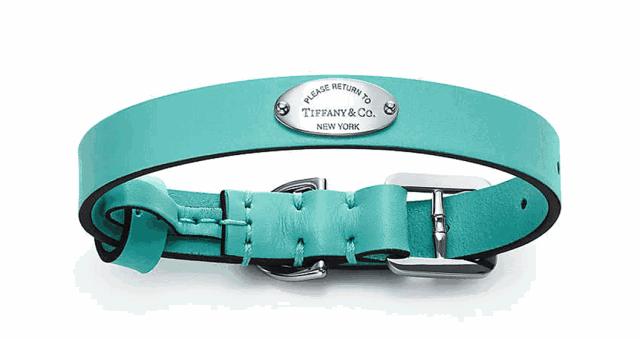 贫穷限制了我的想象力好怕被骗,贫穷又一次限制了我的想象